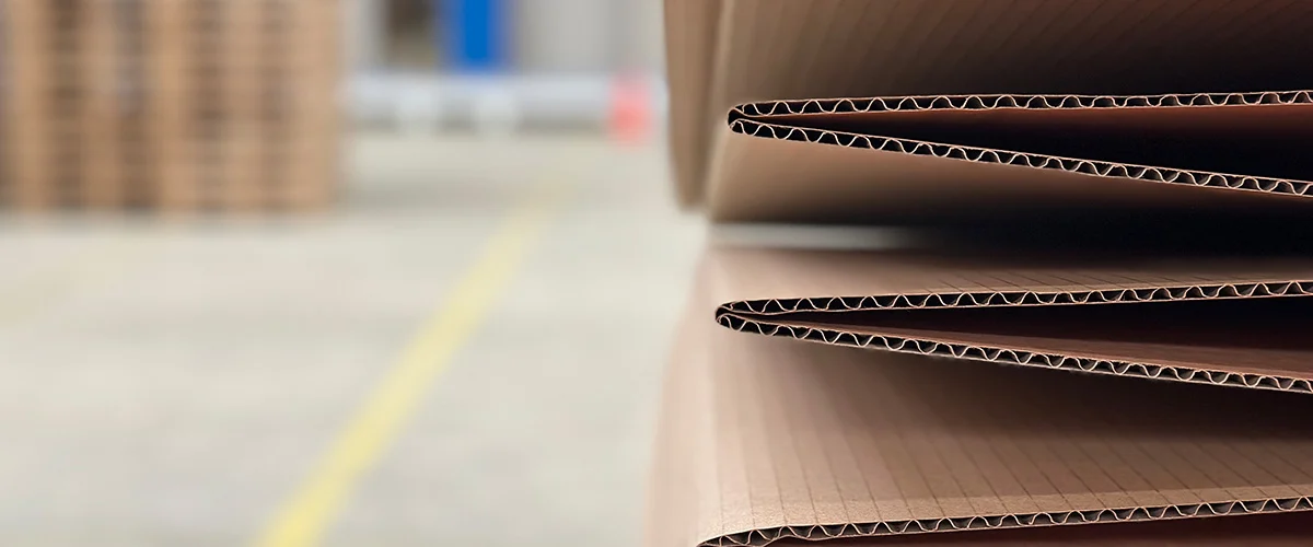 Standard Boxes Üretimi